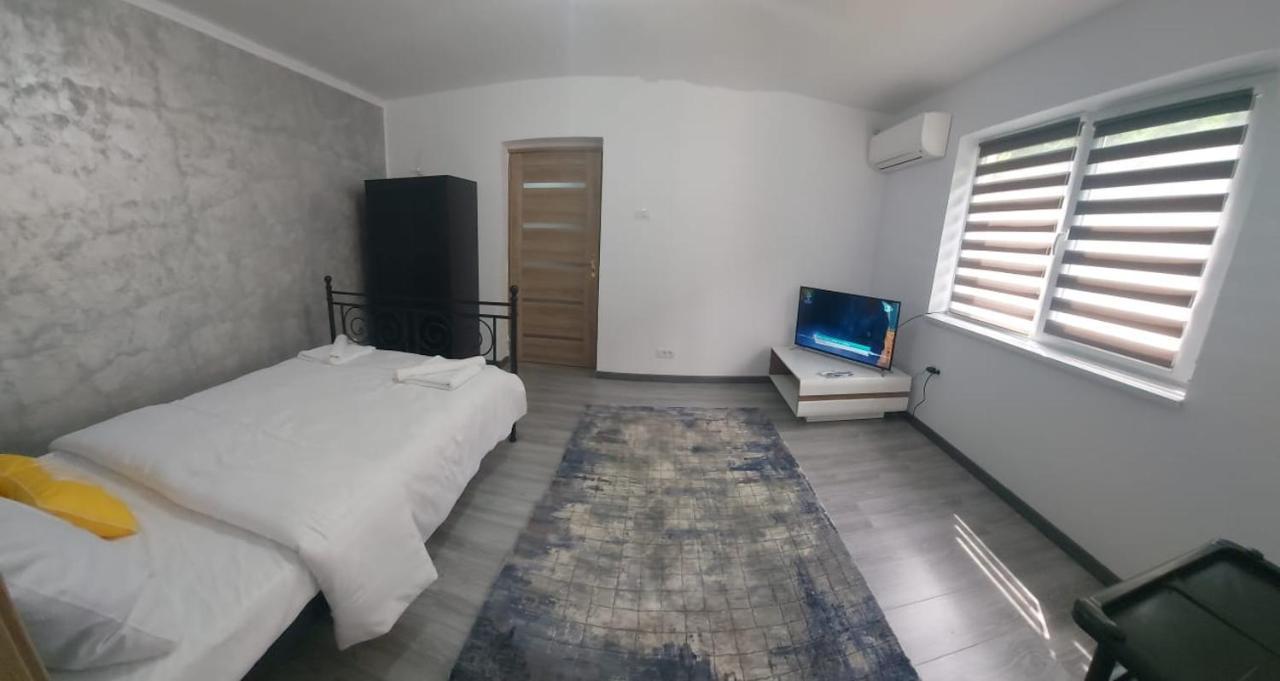 Andi 2-Apartament Băile Herculane المظهر الخارجي الصورة