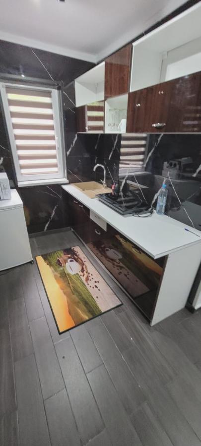 Andi 2-Apartament Băile Herculane المظهر الخارجي الصورة